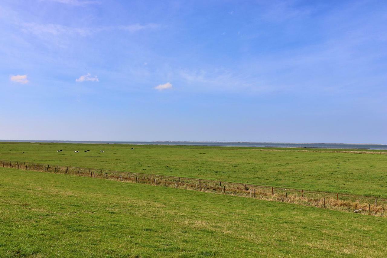 Ferienwohnungen Zur Friesen Freude Dornum Exterior foto