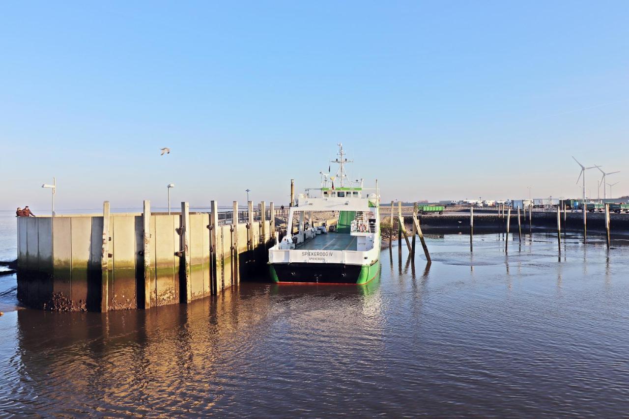 Ferienwohnungen Zur Friesen Freude Dornum Exterior foto