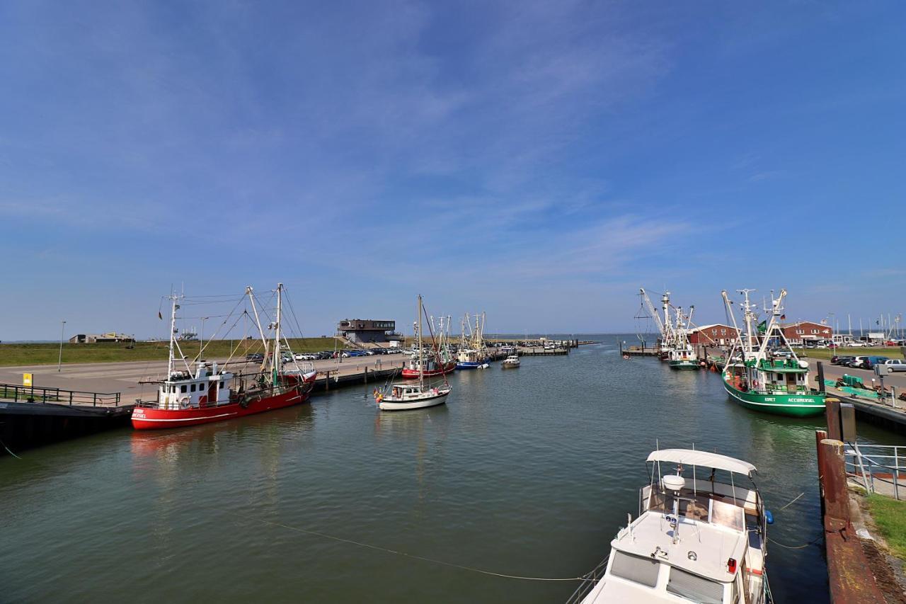Ferienwohnungen Zur Friesen Freude Dornum Exterior foto