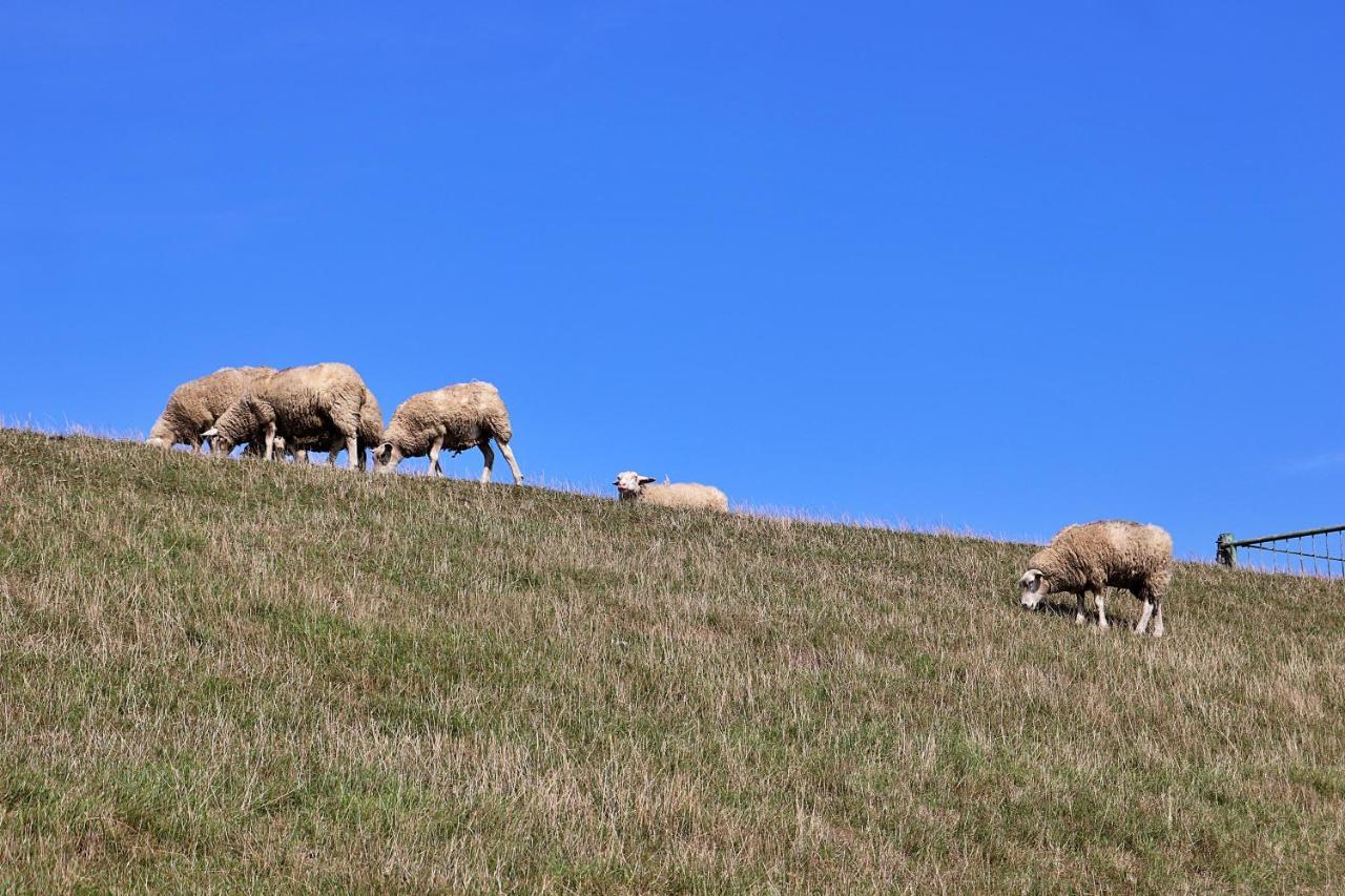 Ferienwohnungen Zur Friesen Freude Dornum Exterior foto